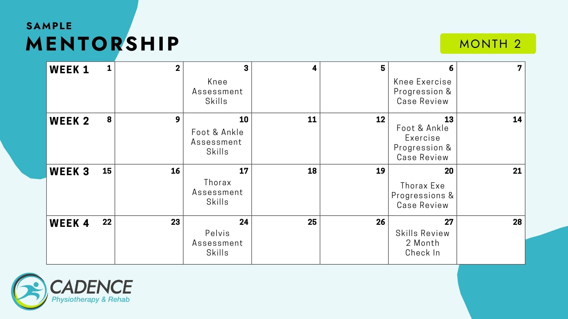 Mentorship Program 2